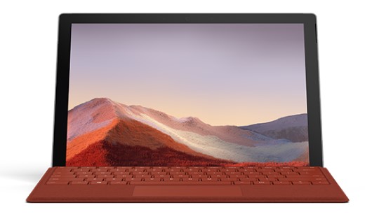 都兰清洁和维护 Surface